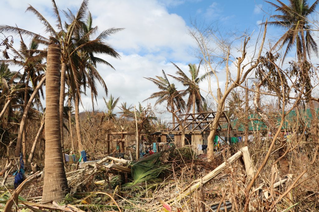 The Philippines after a natural disaster, with many collapsed trees and a house without a roof