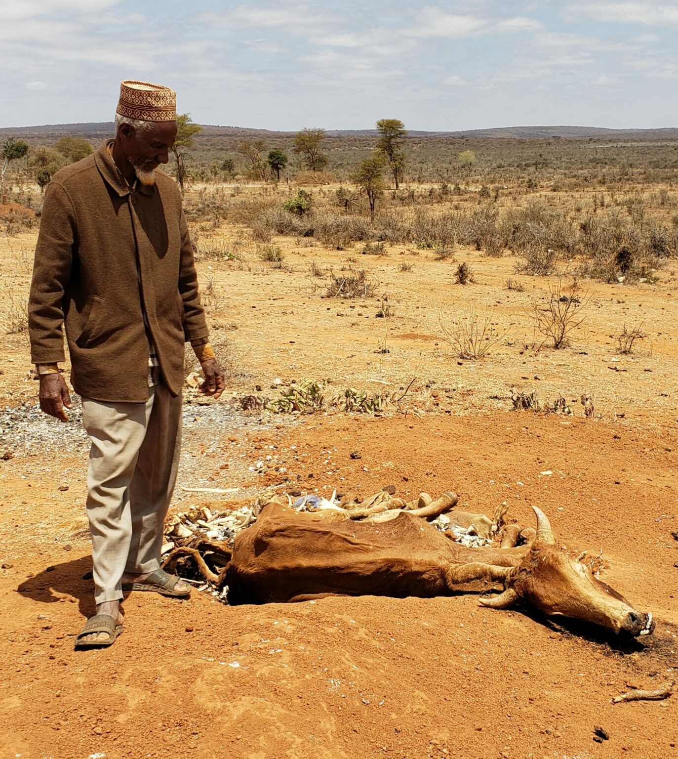 Ethiopia Hunger Crisis Help Feed Starving Mothers And Children ethiopia-hunger-crisis-help-feed-starving-mothers-and-children