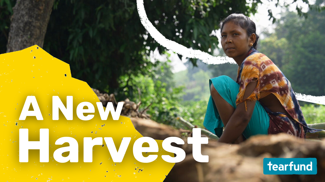 A New Harvest in India