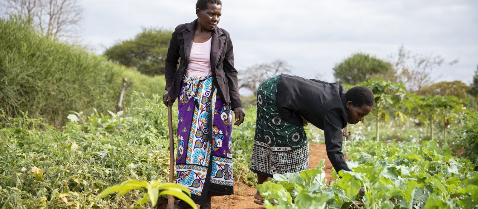 Anna and her daughter, Mukene, tend to crops in Anna's kitchen garden next to Anna's house in Makindu, Kenya, on 29 June 2023.

Tearfund partners with local churches and organisations in Kenya, like Fadhili Trust,  to reduce poverty.