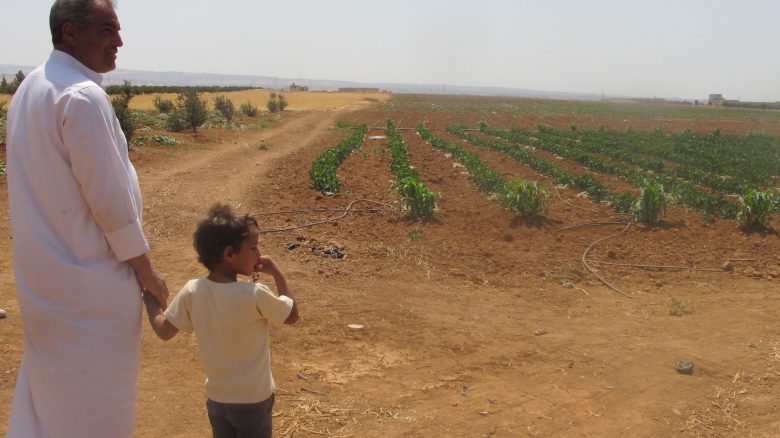 A man and boy showing Medair staff the farm they're working in in Jordan