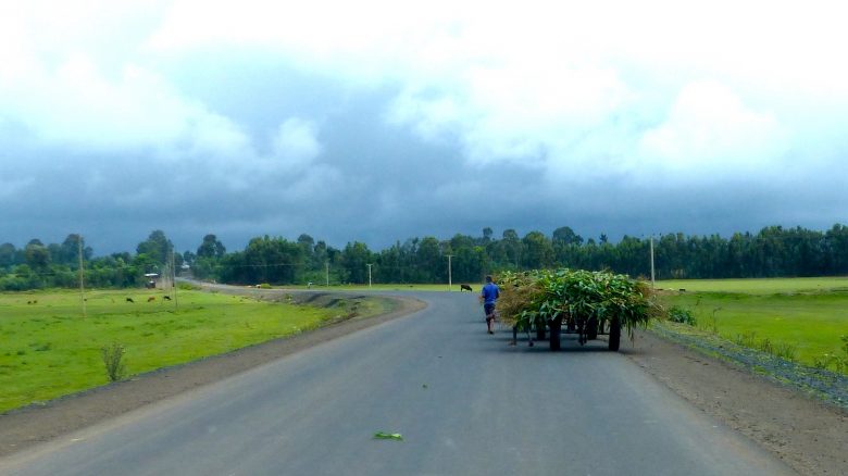 A man walking by a cart full of green plants on a road