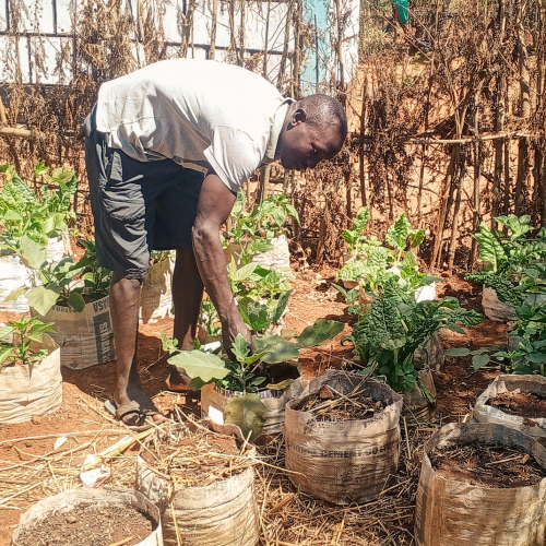 Impact Report 2025_Website Photos10