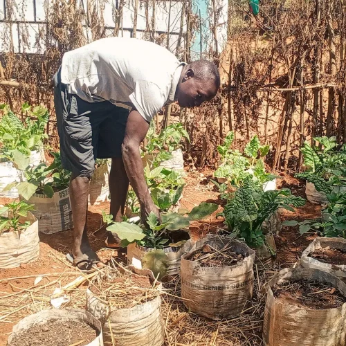 Impact Report 2025_Website Photos10