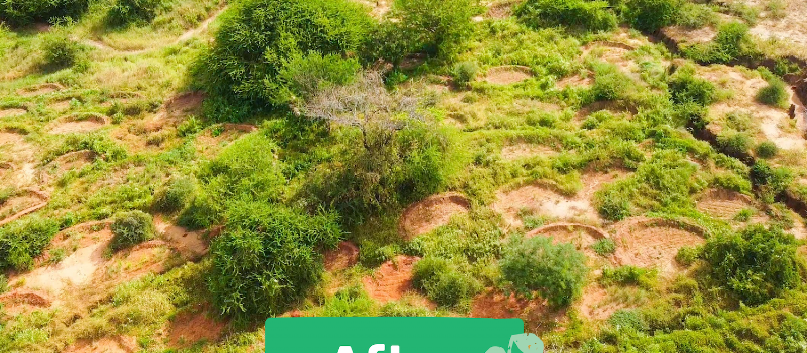 Impact Report 2025_Website Photos12