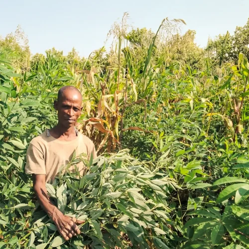 Impact Report 2025_Website Photos2