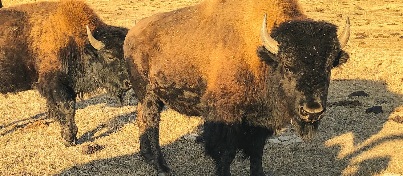 Impact Report 2025_Website Photos27