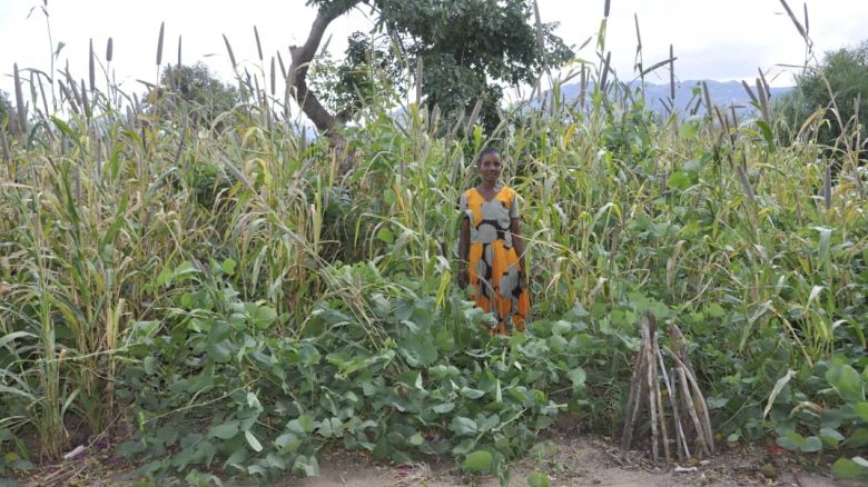 Photo # 8_Beatrice on CA field with integration of tree planting