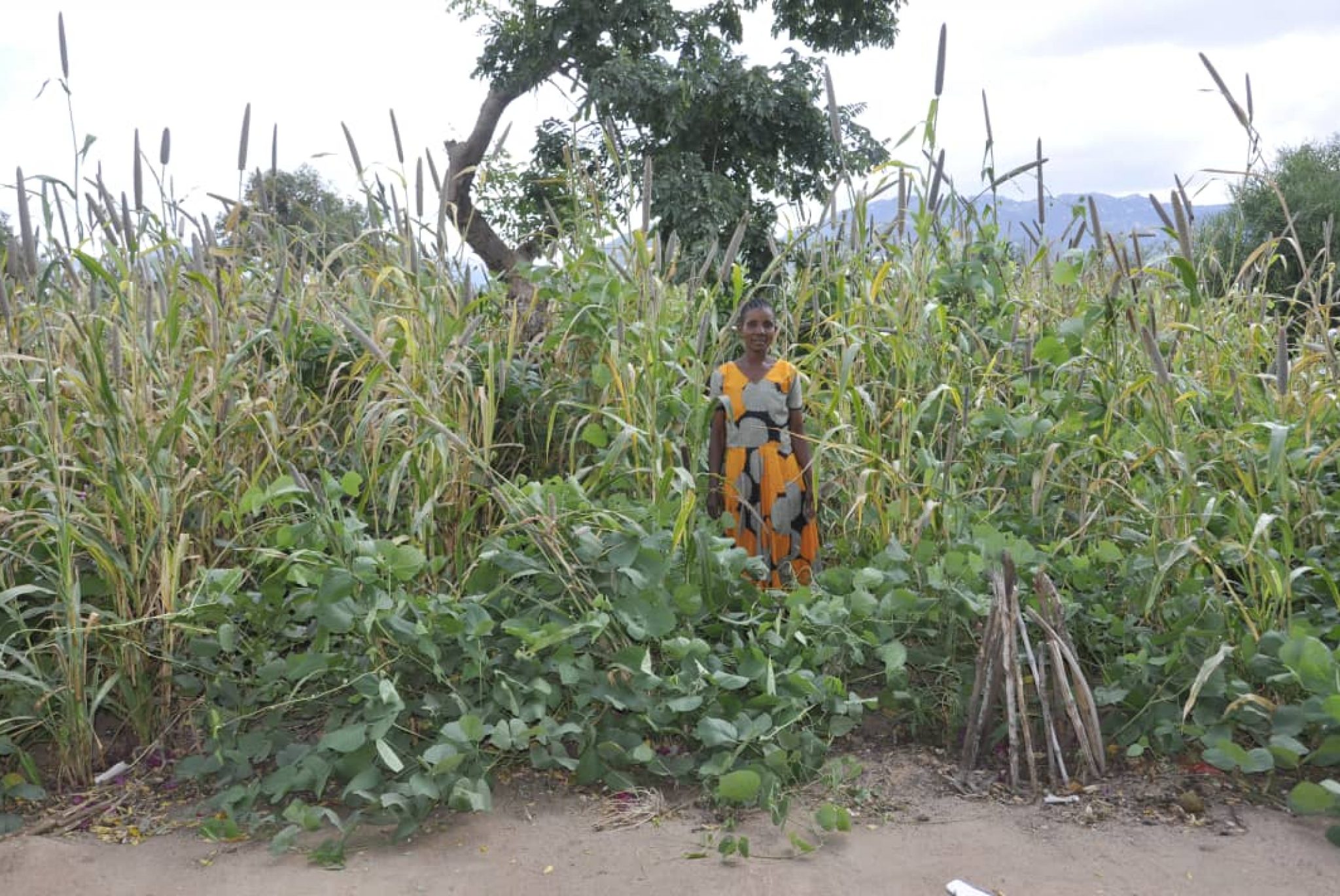 Photo # 8_Beatrice on CA field with integration of tree planting